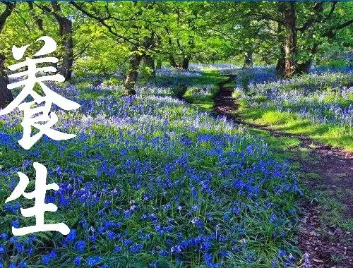 Yangsheng Medical Advice