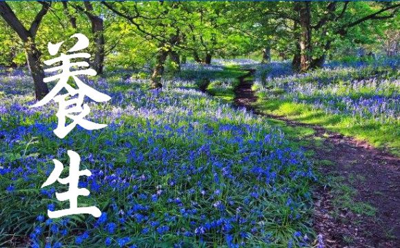 Yangsheng Medical Advice